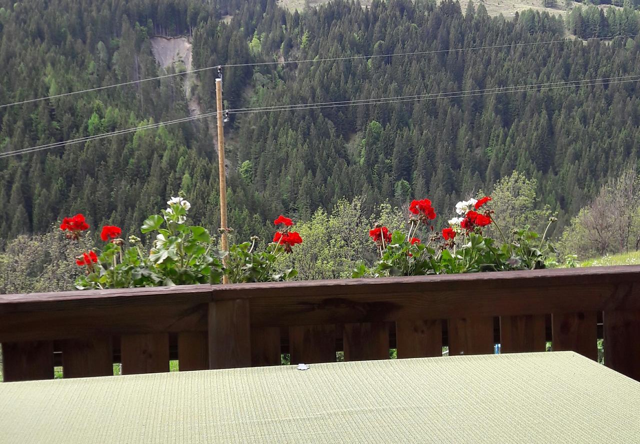 Gaestehaus Ortner Liesing Dış mekan fotoğraf