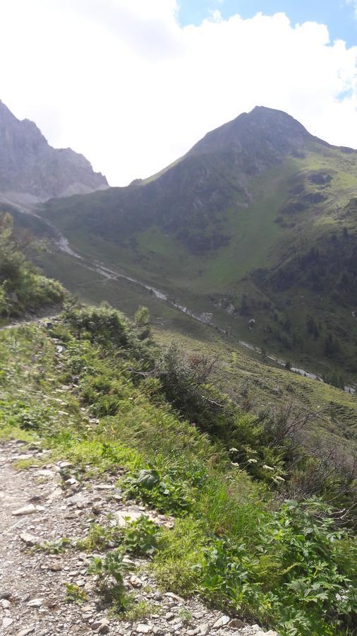 Gaestehaus Ortner Liesing Dış mekan fotoğraf